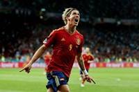 pic for Fernando Torres 480x320